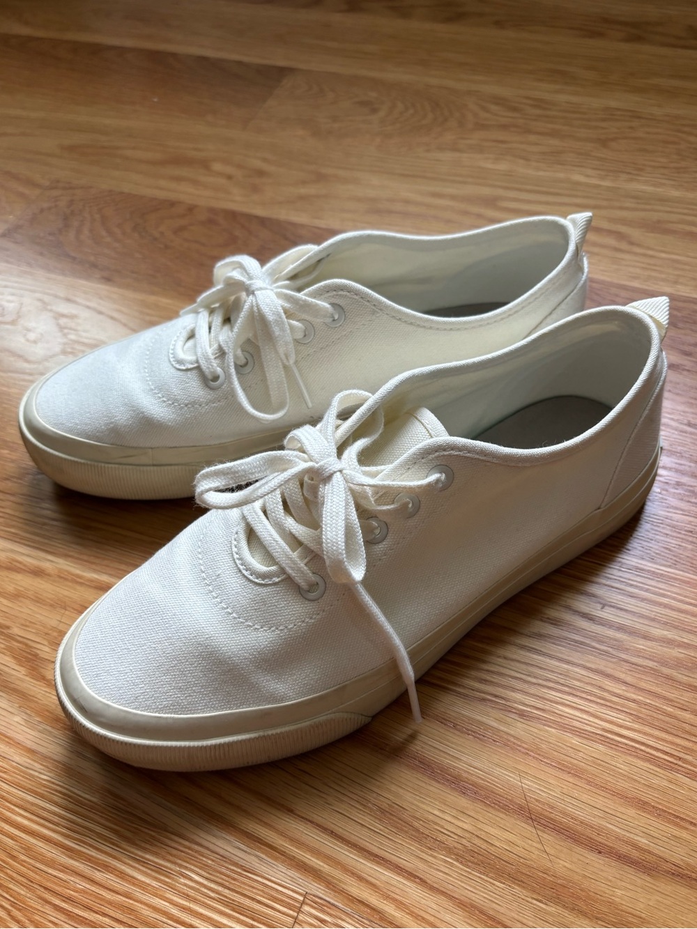 Everlane Forever Canvas Sneaker